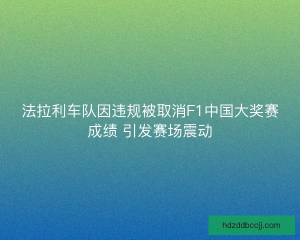 法拉利车队因违规被取消F1中国大奖赛成绩 引发赛场震动